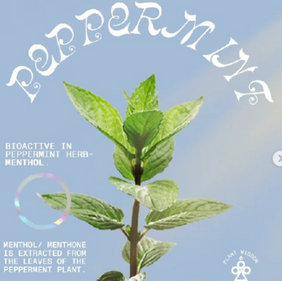 WLTH herbal products