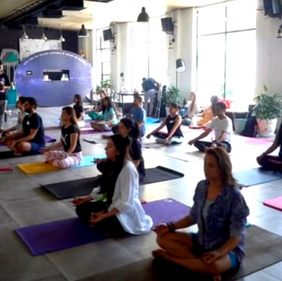 WLTH herbal adaptogens for immunity and gut health