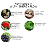 Organic plants for a healthier lifestyle-Energy Flow