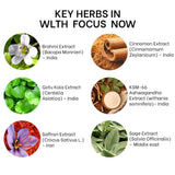 Improve Your Concentration with Our Adaptogenic Herbal Products-Focus Now