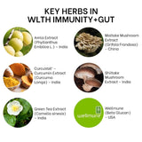 Herbal adaptogens to support your well-being-ImmunityGut